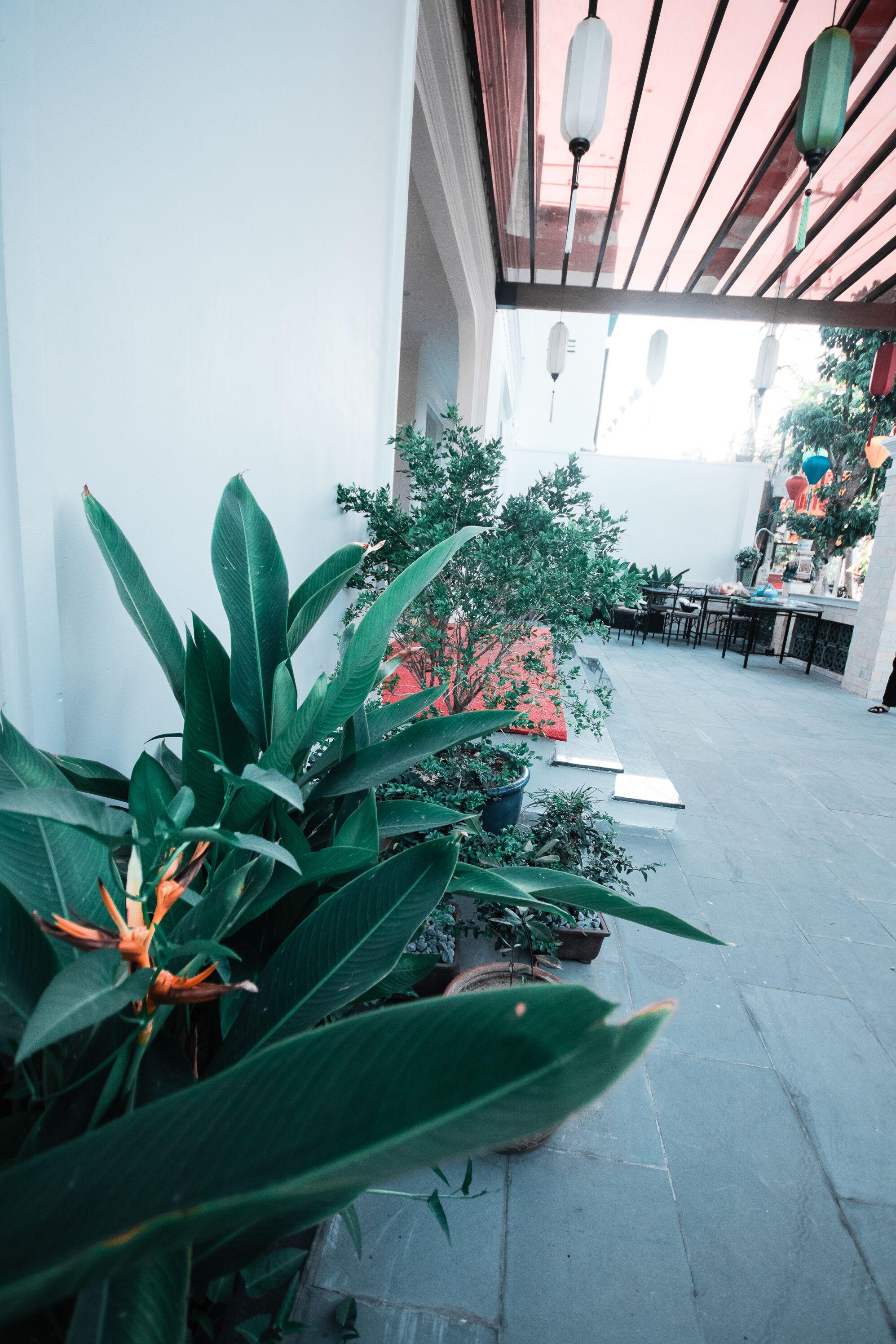 Uptown Hoi An Hotel & Spa المظهر الخارجي الصورة